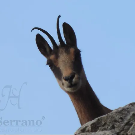 Holiday home El Serrano *