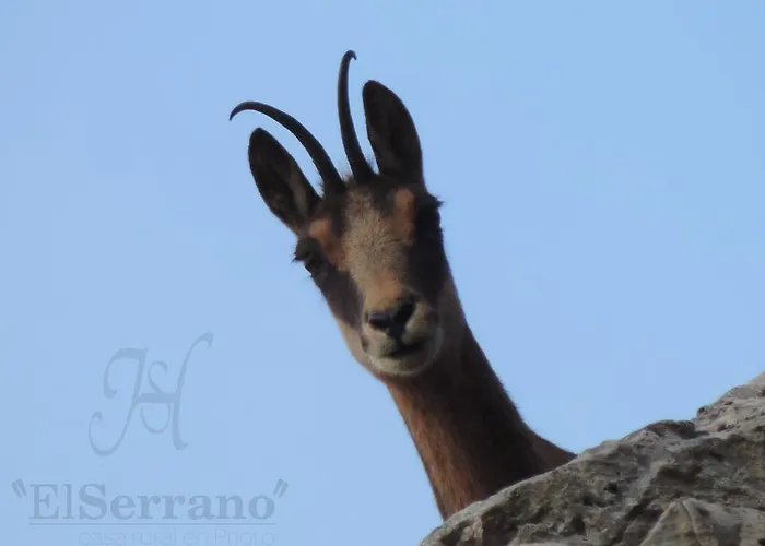 度假居 卡萨农村厄尔尼诺塞拉诺度假屋 *